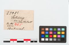 Etiketten zu Bronzewirtel (NHMW-PRAE-025085)